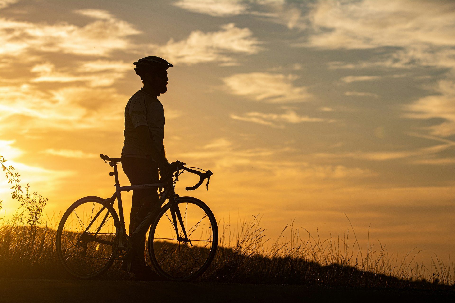 Digital visibility of bicycles in the Euro NCAP 2029 protocol